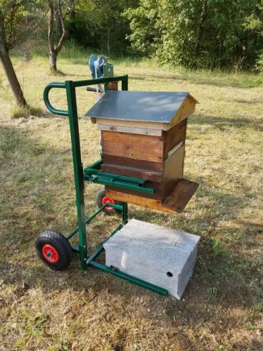 Option : réduction pour ruches Warré