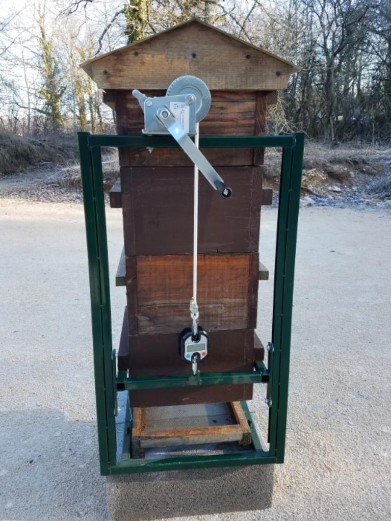 Warré hive lifter weighing